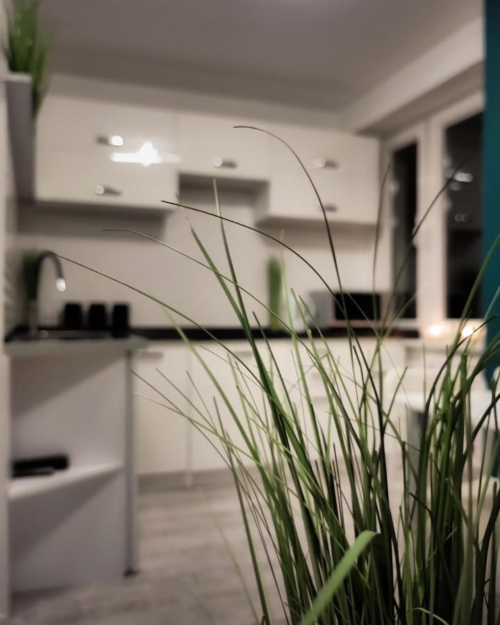 Apartament Green Mragowo-Mazury,Blisko Plaza, Centrum! Wi-Fi! Exterior foto